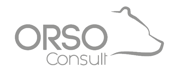 ORSO CONSULT